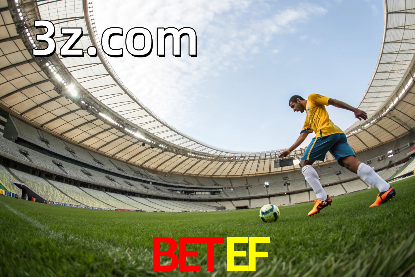 apostas esportivas